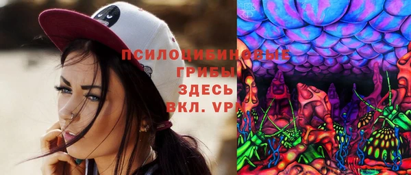 винт Алексеевка